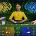 축구 블리츠 탑 카드
